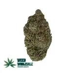 White Lavender (AAAA)