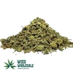 Premium Shake - Hybrid
