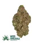 Kush Mints (Fresh, Seeded)