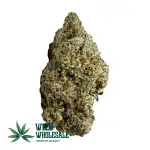 Miracle Alien Cookies (AAAA)