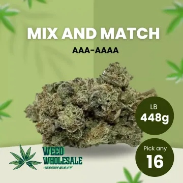 448g AAA - AAAA, Pick any 16 of 28 Grams - 15% OFF!!