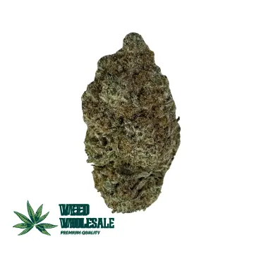 White Lavender (AAAA)