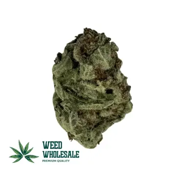Grape God (AA)