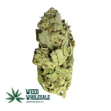 Bubble Gum (AA)