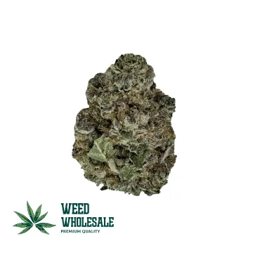 Lemon Cherry Gelato (AAA)