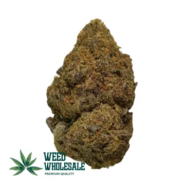 Dense Pave Runtz AAAA buds displaying deep purple hues, thick frosty trichomes, bright orange pistils, and sticky resin-coated craft flower structure