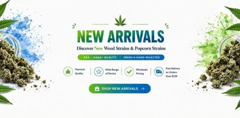 New arrivals