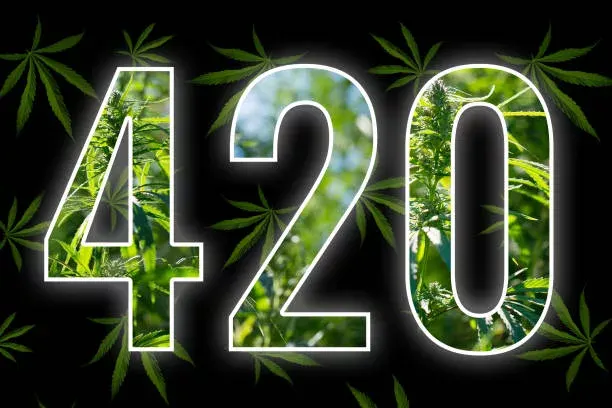 420 in Canada 2026 Ultimate Guide and Cannabis Deals