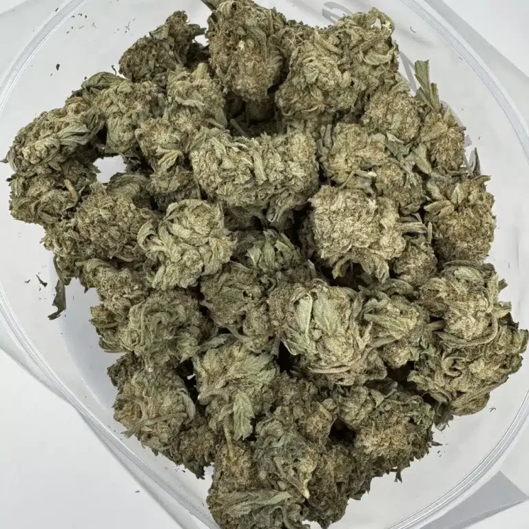 Best sativa strains in Canada 2026 - White Widow, Sour Diesel, Green Crack, Sunset Sherbet & Unicorn Runtz