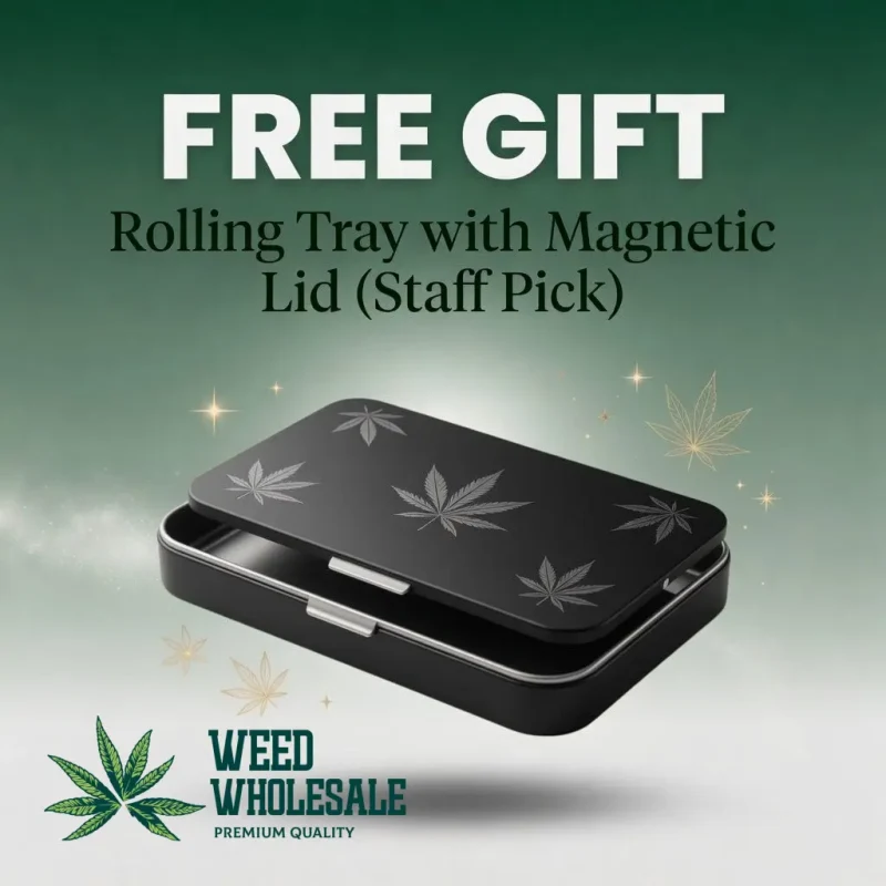Free Gift 1 Rolling Tray with Magnetic Lid (Staff Pick)