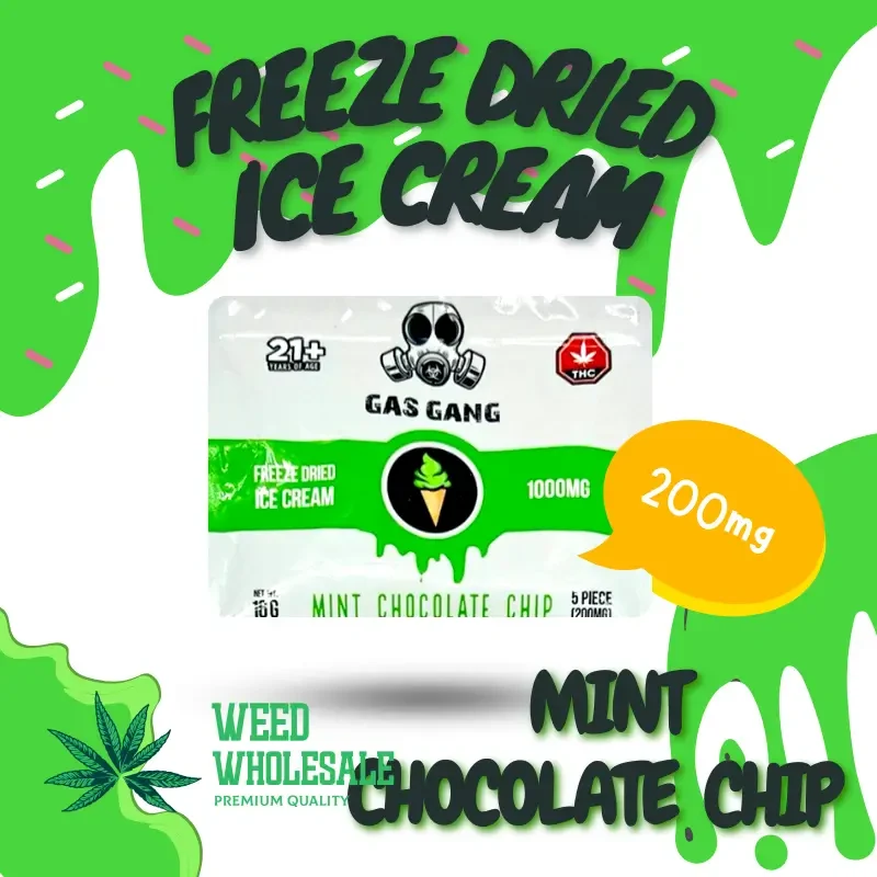 Freeze Dried Ice Cream - Mint Chocolate Chip - 200mg