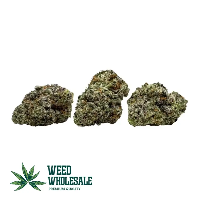 jet fuel gelato