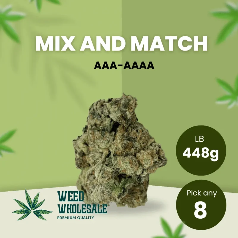 448g AAA - AAAA, Pick any 8 of 56 Grams - 17.5% OFF!!
