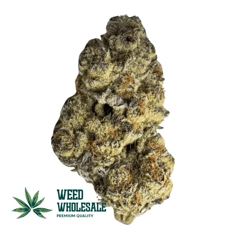 Pure Michigan (AAAA)