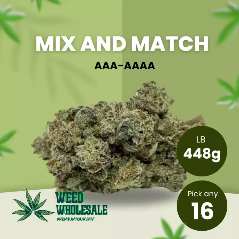 448g AAA - AAAA, Pick any 16 of 28 Grams - 15% OFF!!