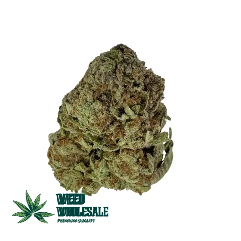 Florida OG (AA)