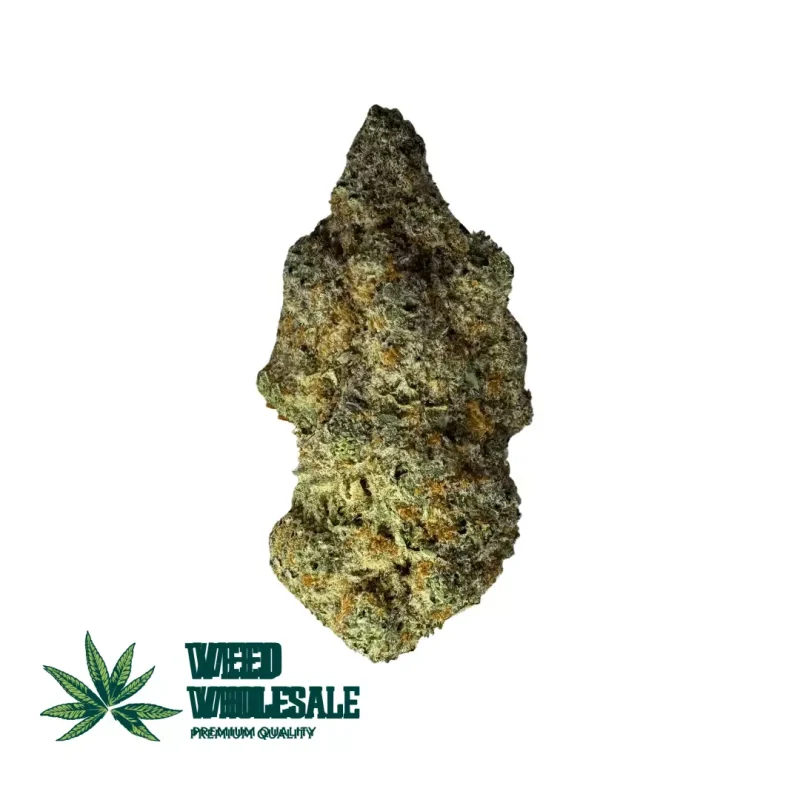 Gelato (AAAA)