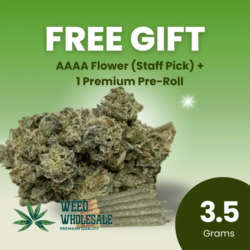 Free Gift 3.5 Grams AAAA + 1 Premium Pre-Roll (Staff Pick)
