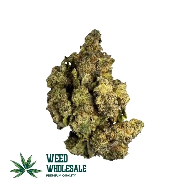 Ghost Train Haze (AAA)