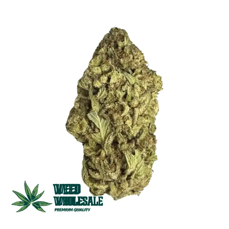 Blue Coma (AA)