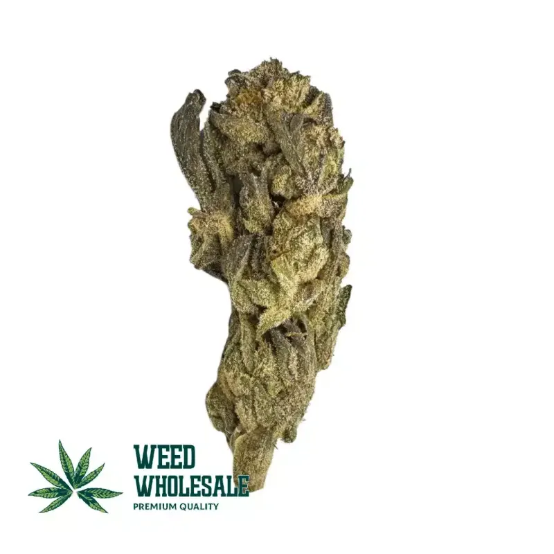 Master Kush (AA)