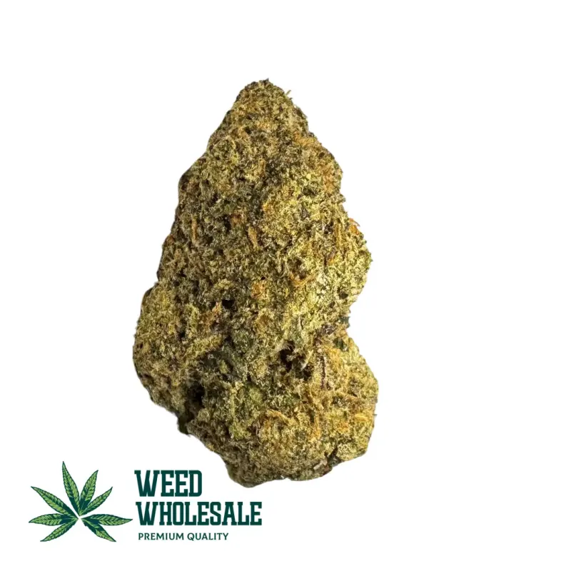 Close-up shot of a single LCG Fruitilicious AAAA+ craft cannabis bud, showcasing dense crystalline trichomes and vibrant orange hairs