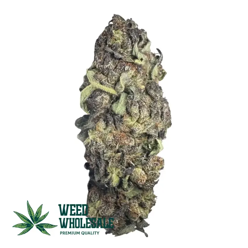Granddaddy Purp (AA)