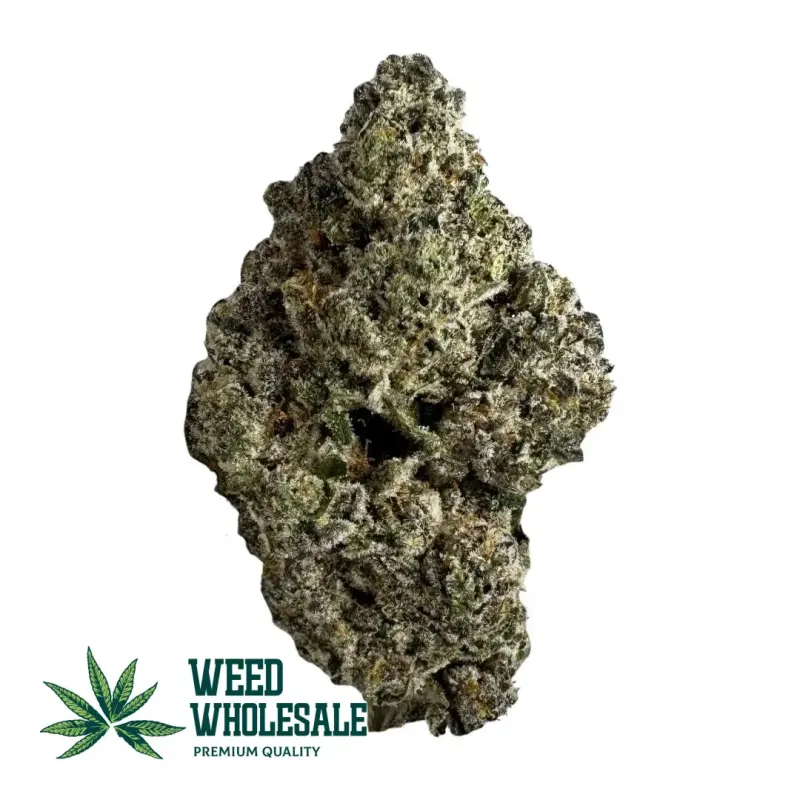 Black Truffle