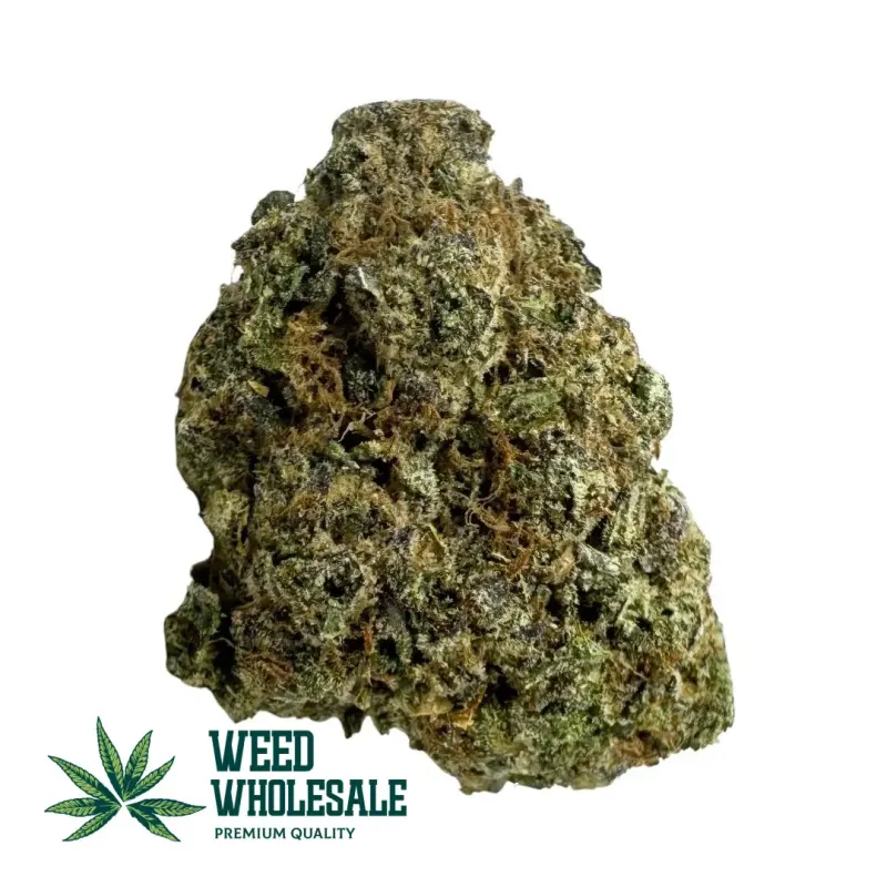 A dense Candy Gas (AAAA) cannabis bud showcasing vibrant green and purple hues, thick orange hairs, and a heavy coating of resinous white trichomes.