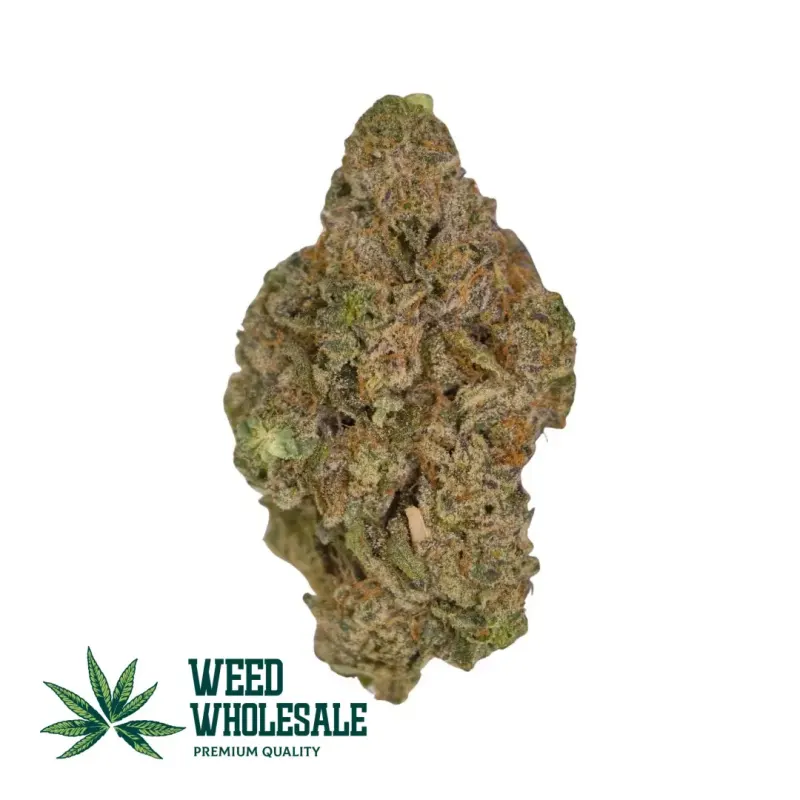 Kush Mints (Fresh, Seeded)