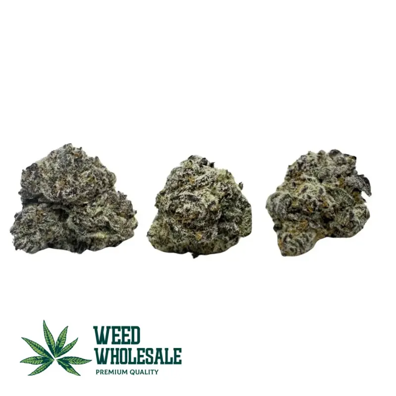 Dense O (Oreoz) AAA popcorn cannabis buds featuring dark green and purple hues coated in thick white trichomes with bright amber pistils.