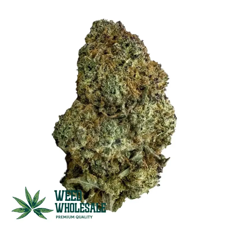 Dense Pink Champagne (AAAA) green cannabis bud featuring pink and purple hues, blanketed in a thick frost of translucent white trichomes with amber pistils.