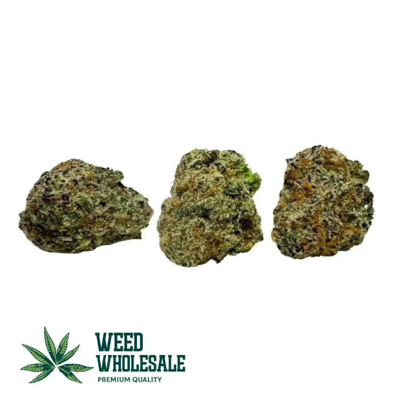 Dense Platinum Punch AAA popcorn cannabis buds featuring vibrant green and purple hues coated in thick silvery-white trichomes with bright orange pistils.