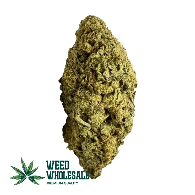 Sour Diesel AA cannabis buds with light green colouring, orange hairs, and frosty trichomes on airy sativa flower.