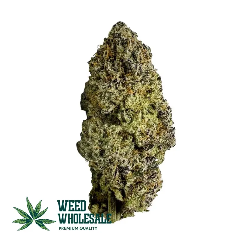 Premium White Queen (AAAA) cannabis bud featuring a dense coating of white trichomes, light green leaves, and yellowish-orange pistils.
