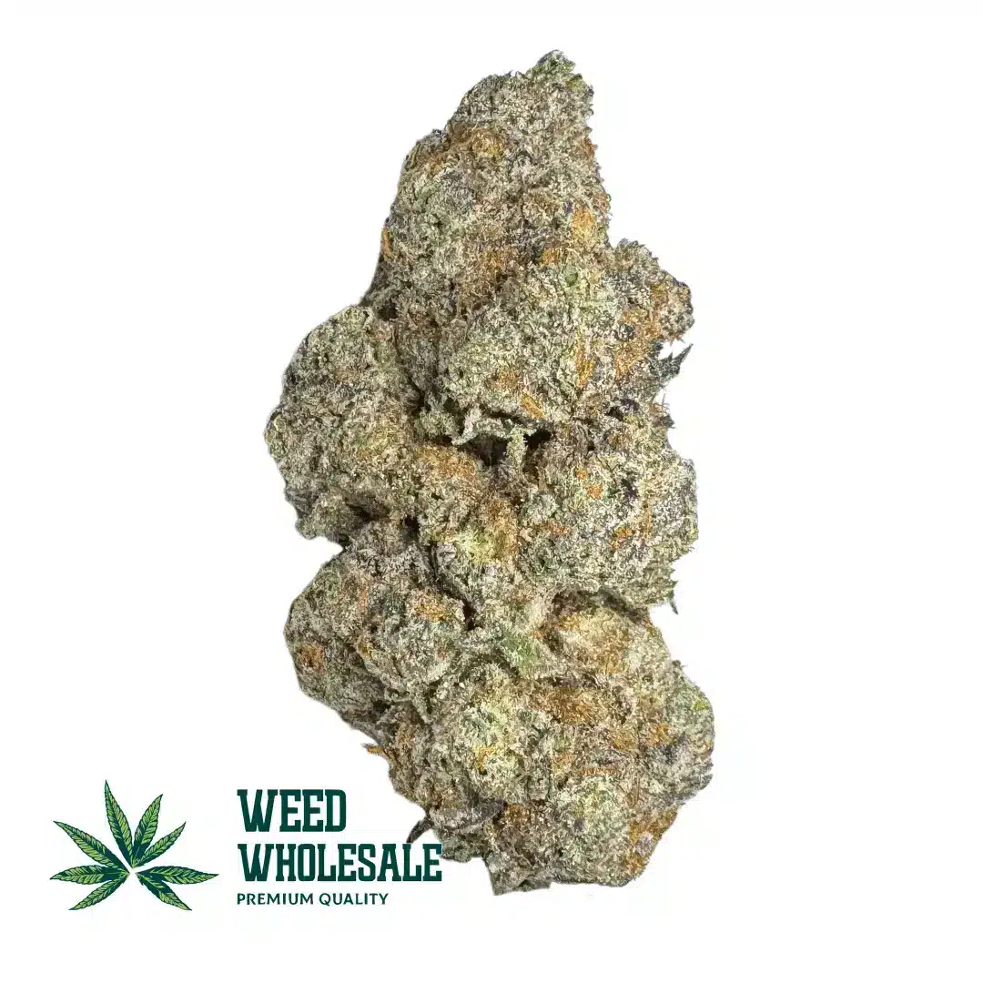 GMO Cookies (AAA)