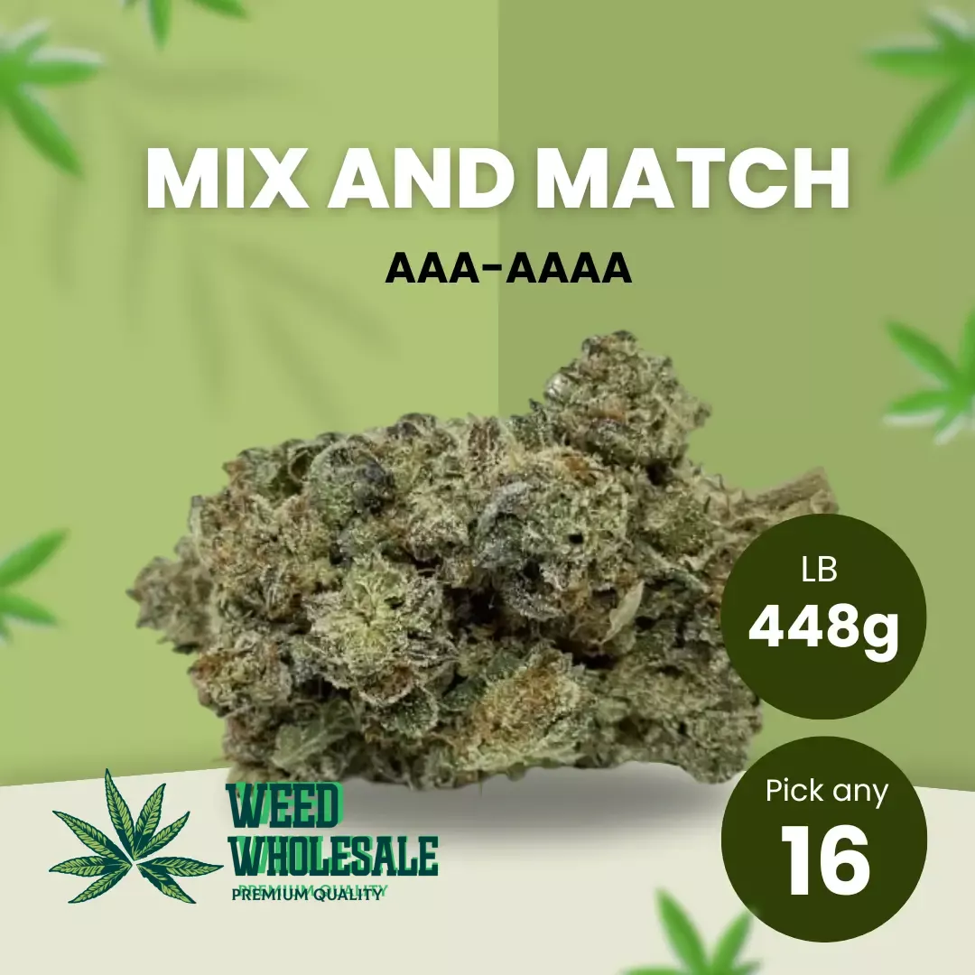 448g AAA - AAAA, Pick any 16 of 28 Grams - 15% OFF!!