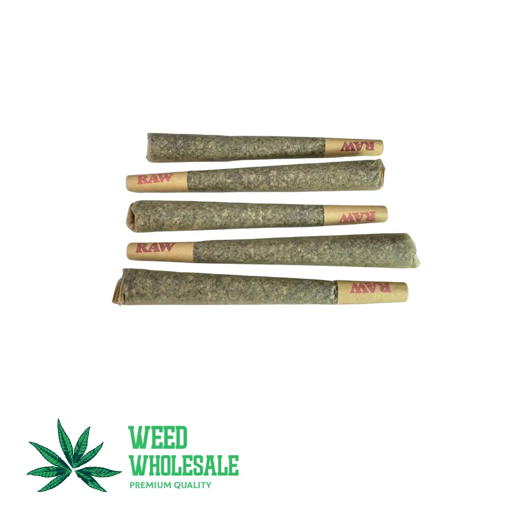 Pre-Roll - Regular - Image 2