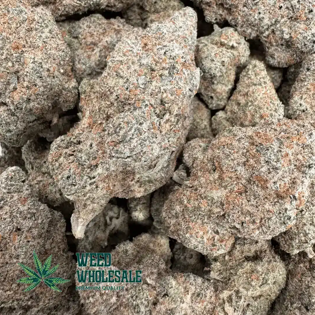 Gelato (AAAA) - Image 2
