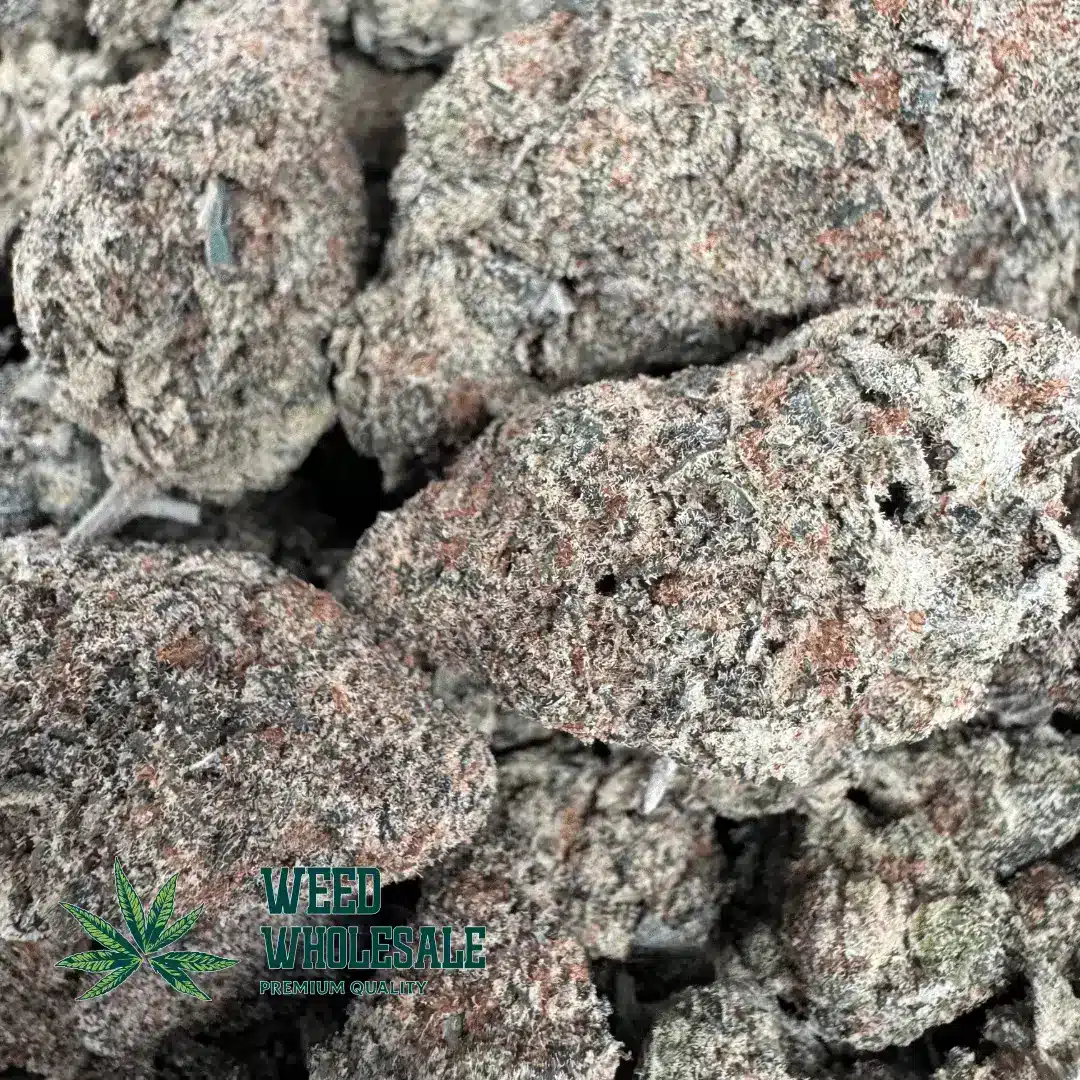 Sunset Sherbet (AAAA) - Image 2