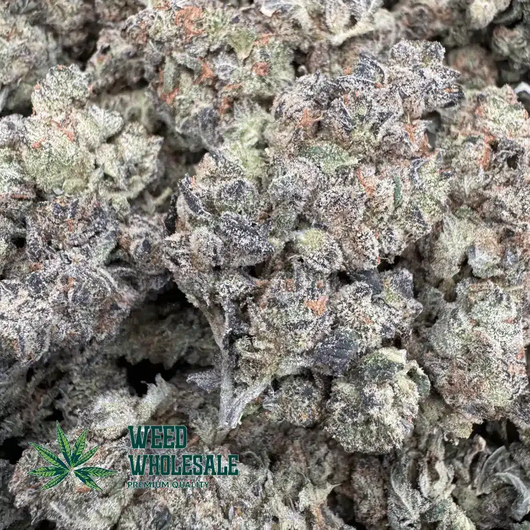 Ghost Train Haze (AAA) - Image 2