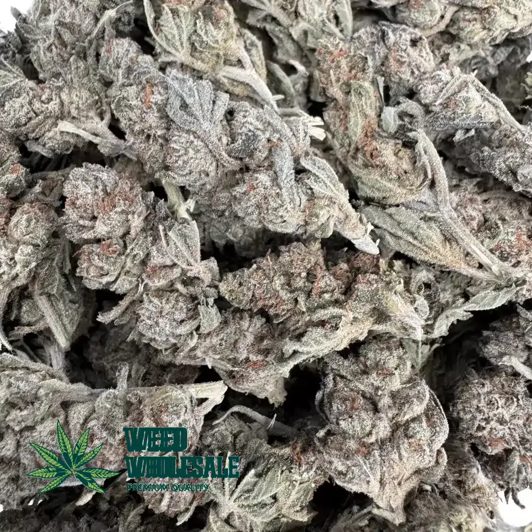 Master Kush (AA) - Image 2