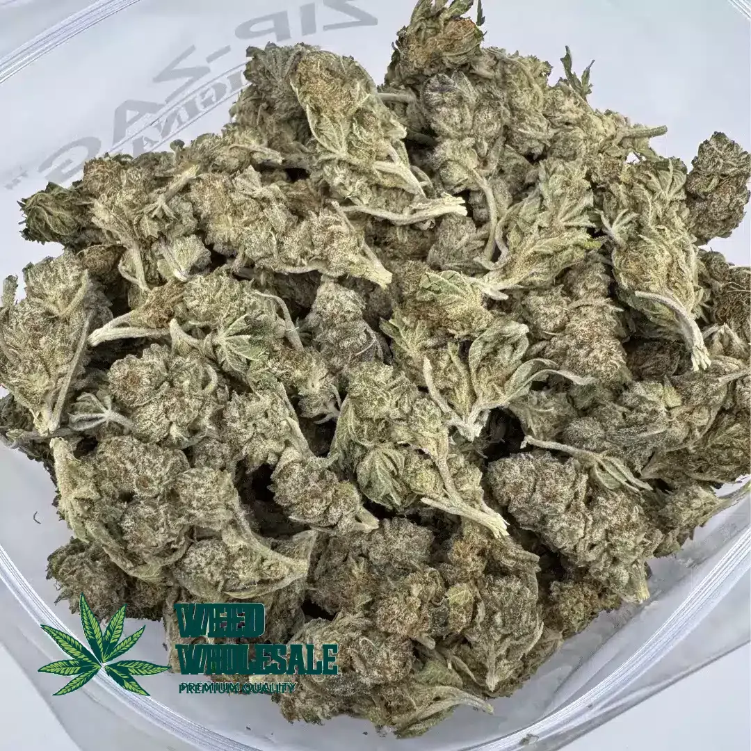 Master Kush (AA) - Image 3