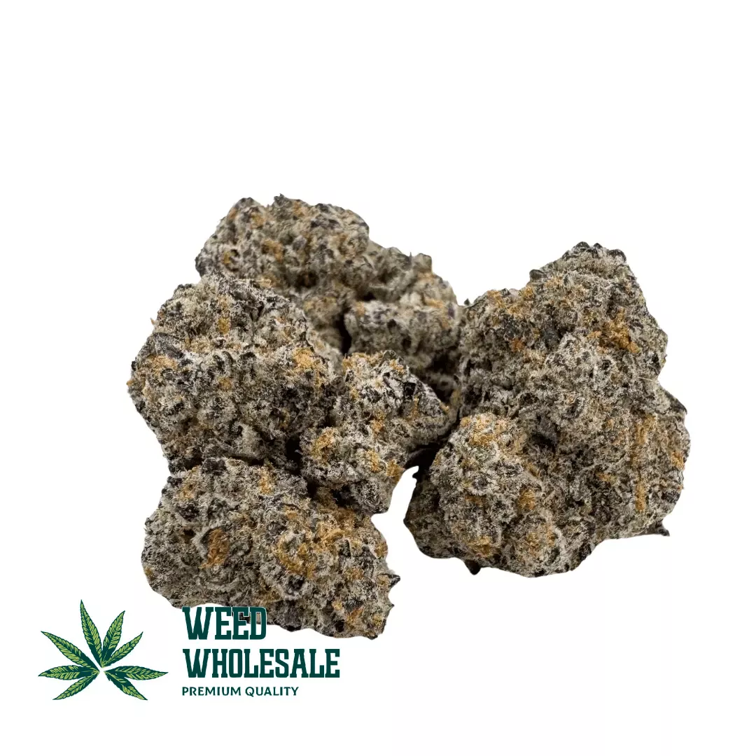 Supreme Caviar (AAAA+ Craft)