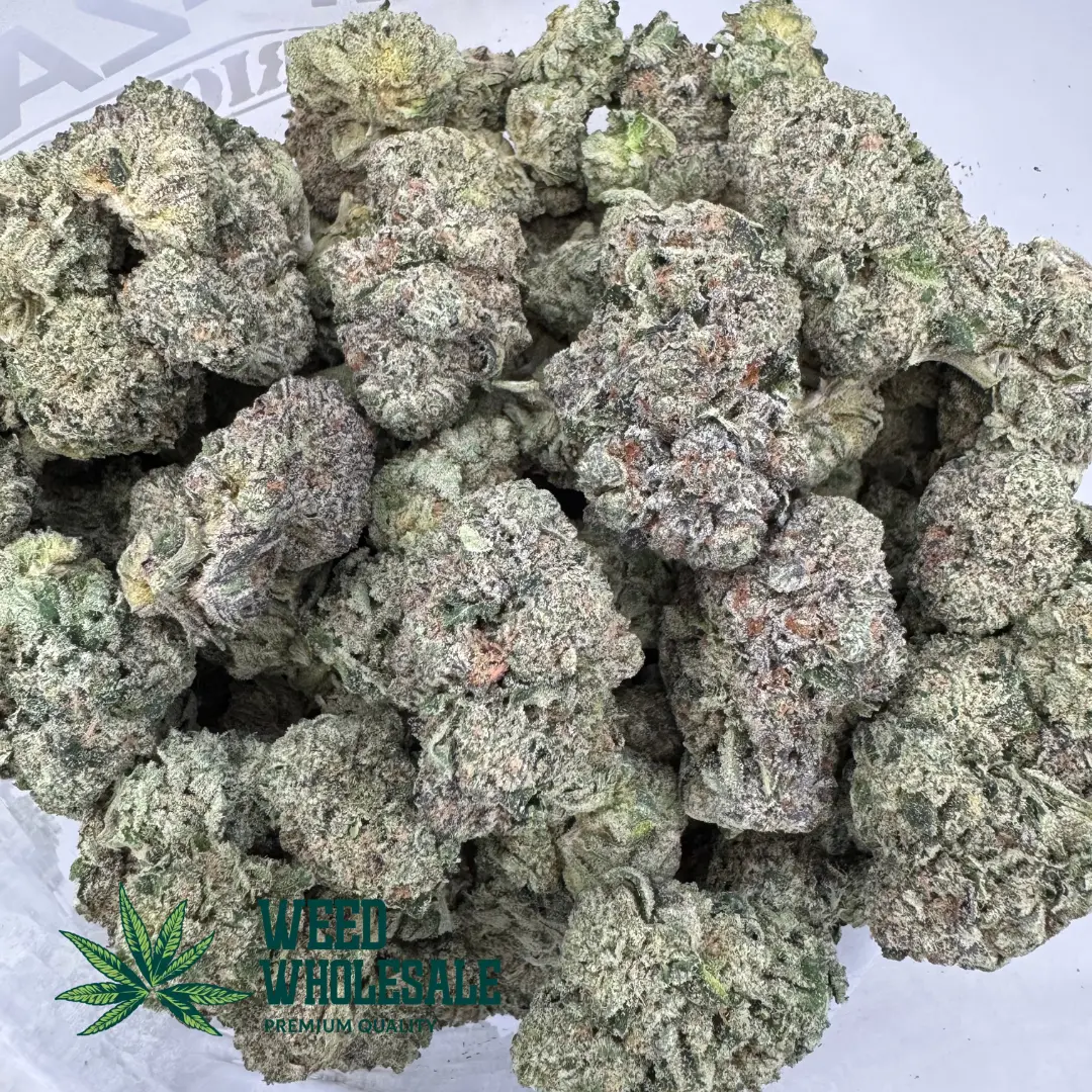 Multiple Pink Certz AAAA cannabis buds, close-up view showing purple hues and heavy trichome frosting.