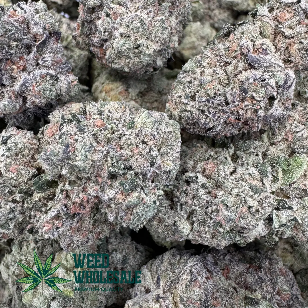 Close-up of Pink Certz cannabis buds showing dense trichome crystals, vibrant purple and lime green leaves, and bright orange hairs.