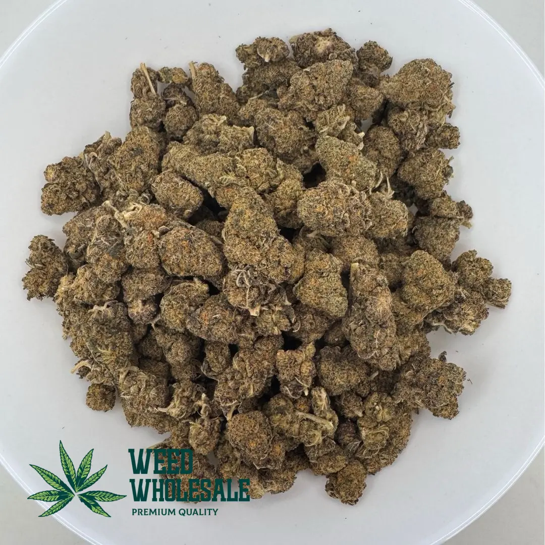 Strawberry Cough sativa buds showing a classic elongated shape, pale green coloring, and a fine, dusty coating of trichomes.