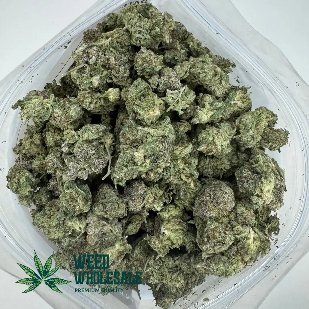 Dense, marble-sized Cherry Tahoe (AAA Popcorn) buds with dark green and purple foliage, copper-orange pistils, and a thick coating of amber-tinted trichomes.