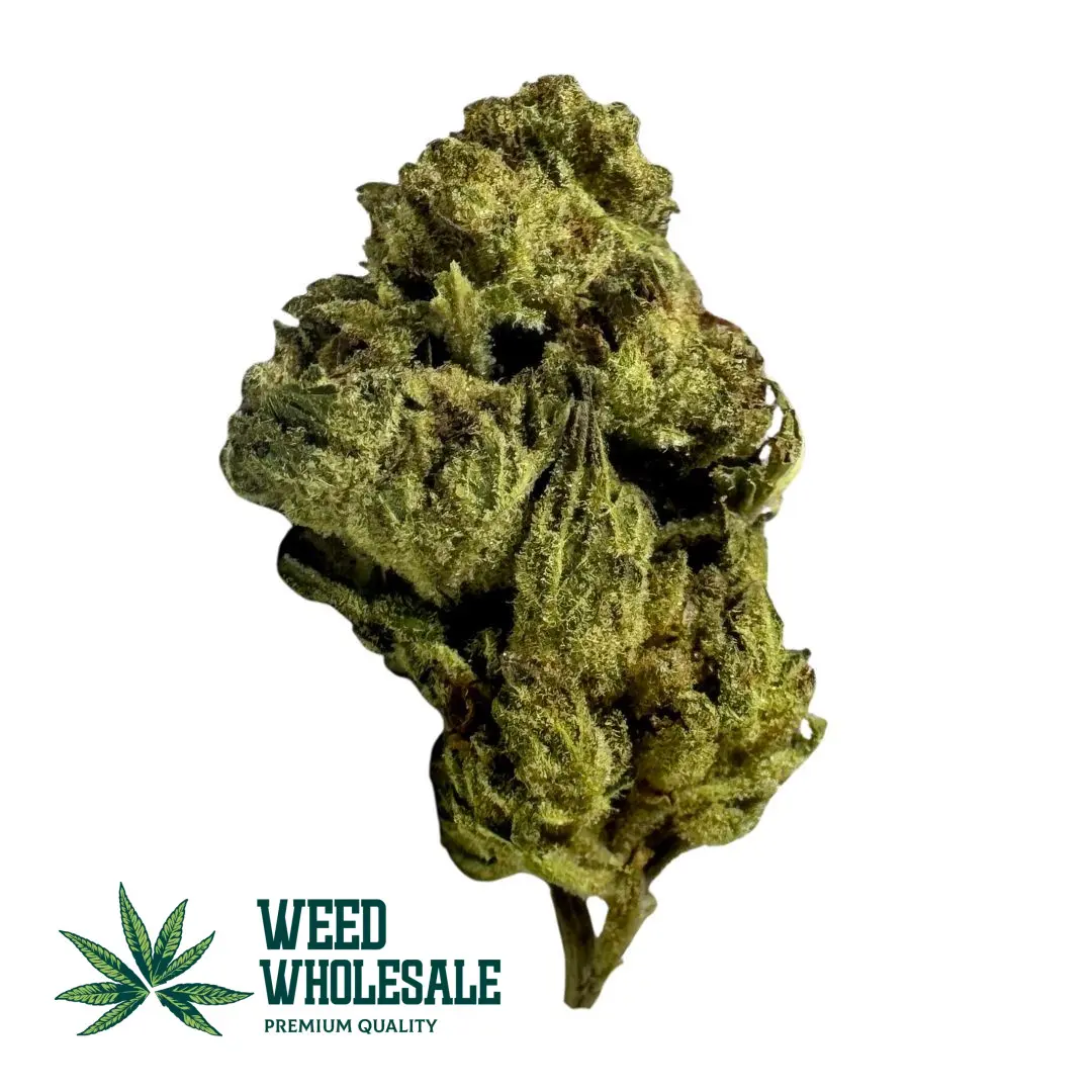 Green Crack AA cannabis buds with light green colouring, orange pistils, and visible crystal trichomes on fluffy sativa buds.