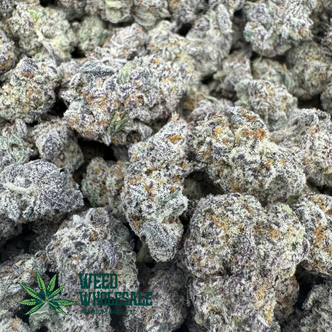 Dense O (Oreoz) AAA popcorn cannabis buds featuring dark green and purple hues coated in thick white trichomes with bright amber pistils.
